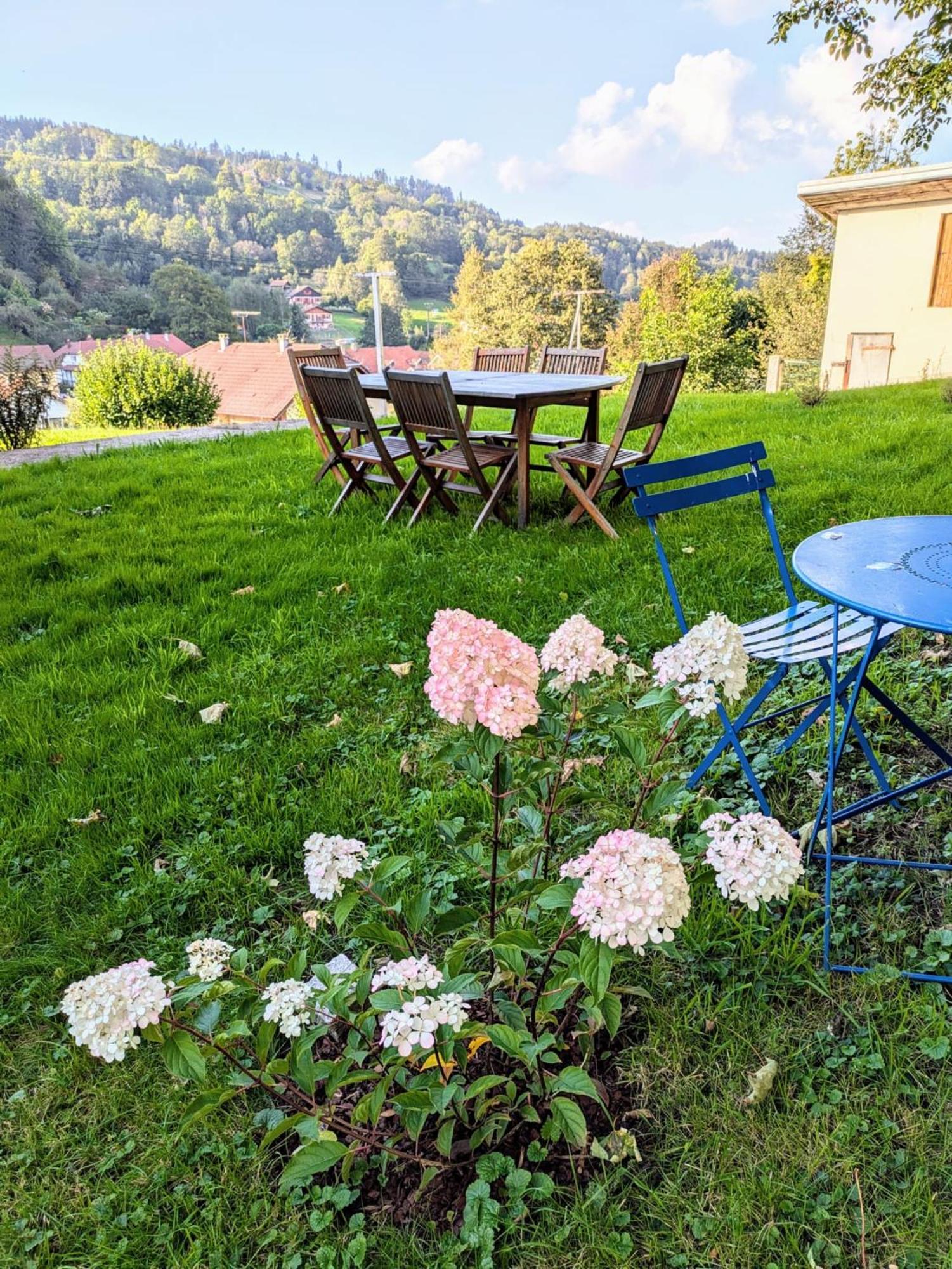 Le Renard Des Vosges Villa La Croix-aux-Mines Ngoại thất bức ảnh